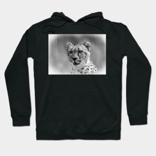 On the look out Hoodie